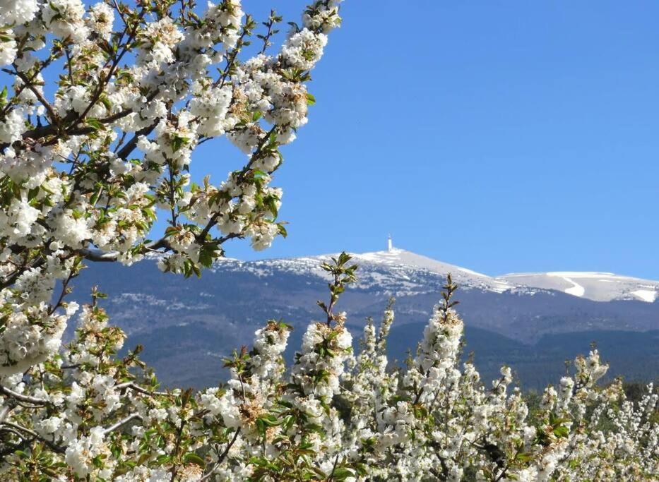 Вилла Les Tarraiettes Au Pied Du Luberon Лурмарин Экстерьер фото
